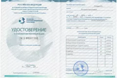 goldstain-diploma-01
