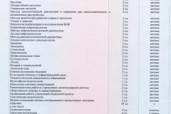 inozemtseva-diploma-04