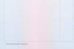 inozemtseva-diploma-05